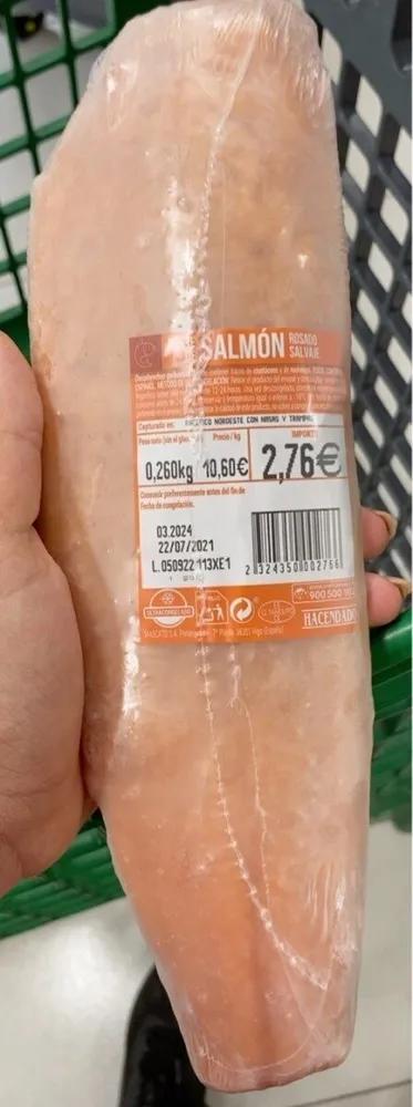 Salmon