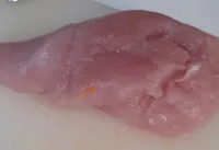 Solomillo pavo marinado congelado
