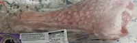 Jamoncito de pavo congelado
