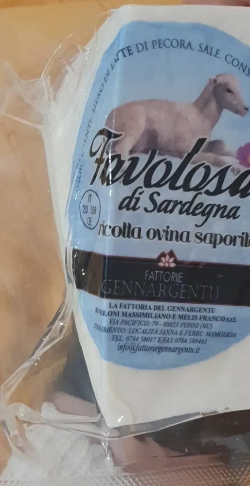 Ricotta di pecora salata