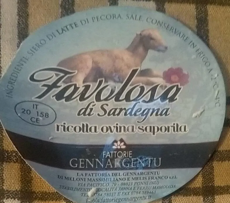 Ricotta ovina saporita