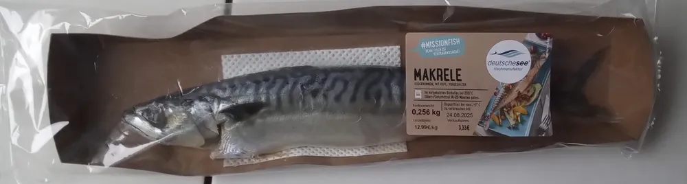 Makrele ausgenommen, mit Kopf, vorgesalzen