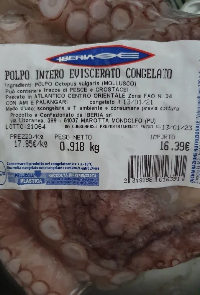 Polpo intero eviscerato congelato