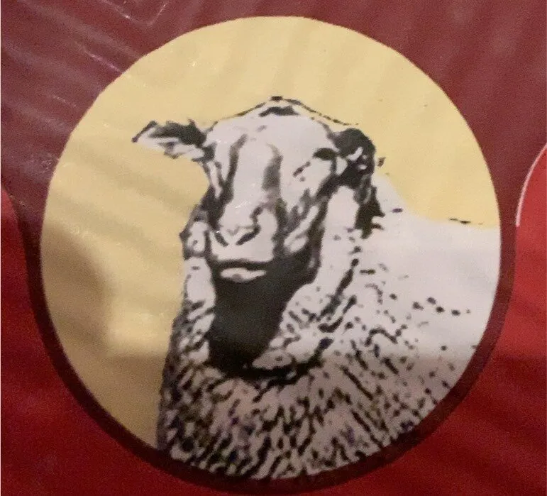 Oveja curado