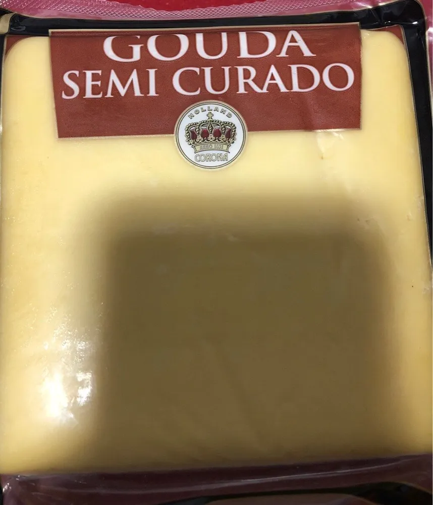 Queso semicurado gouda