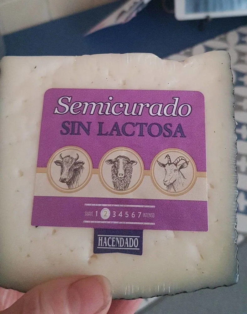 Queso semicurado sin lactosa