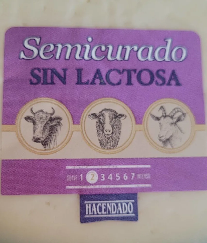 Queso sembrado sin lactosa