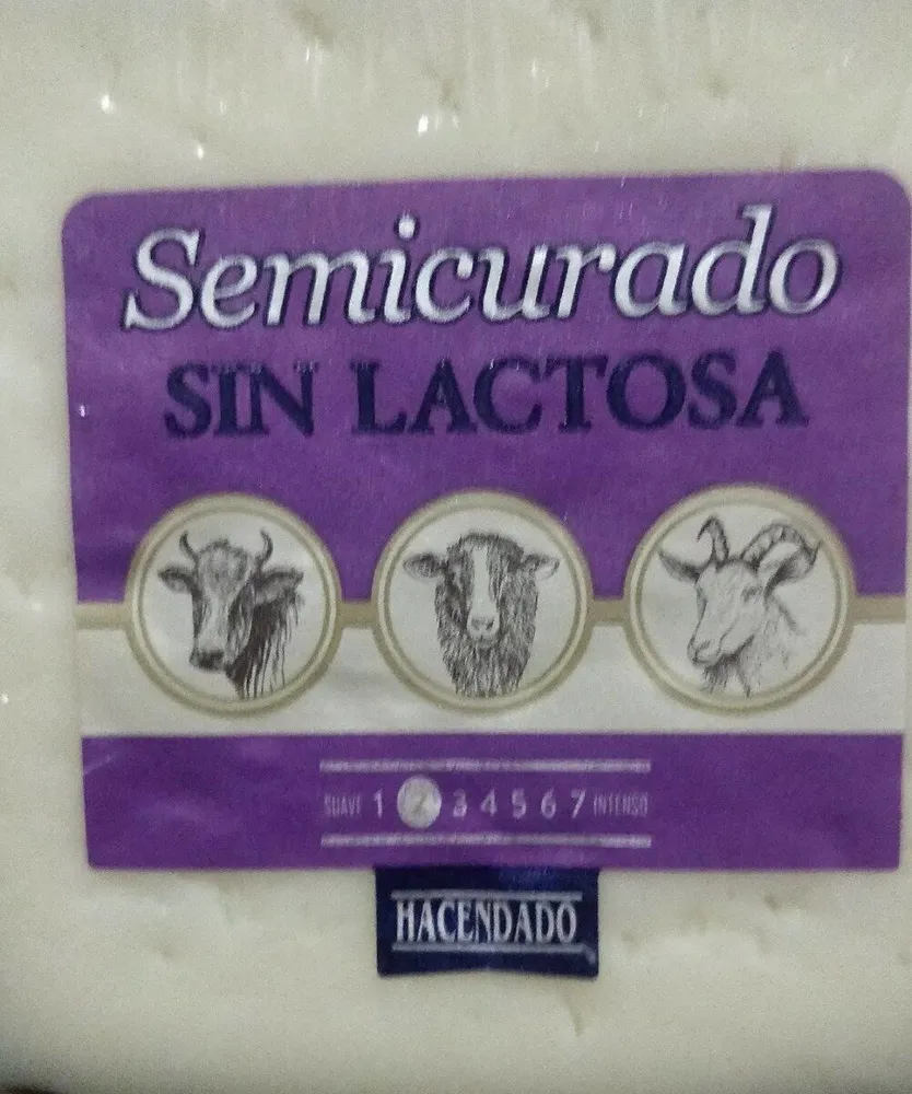 Queso semicurado sin lactosa