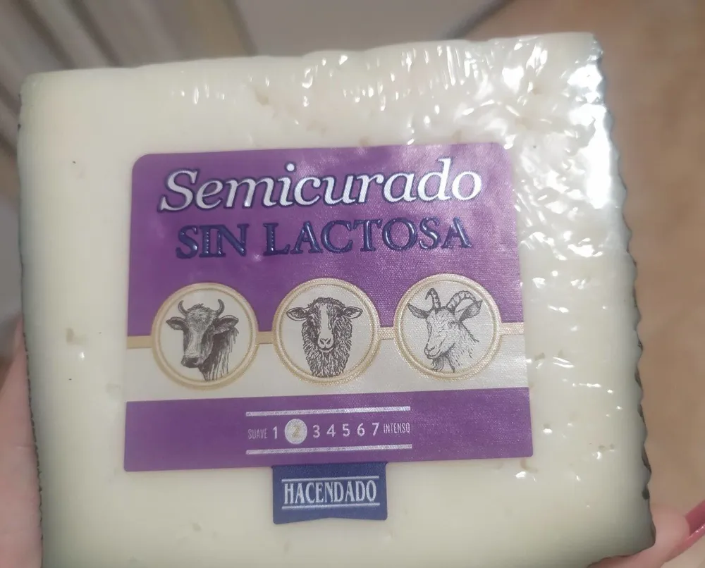 Queso semicurado sin lactosa