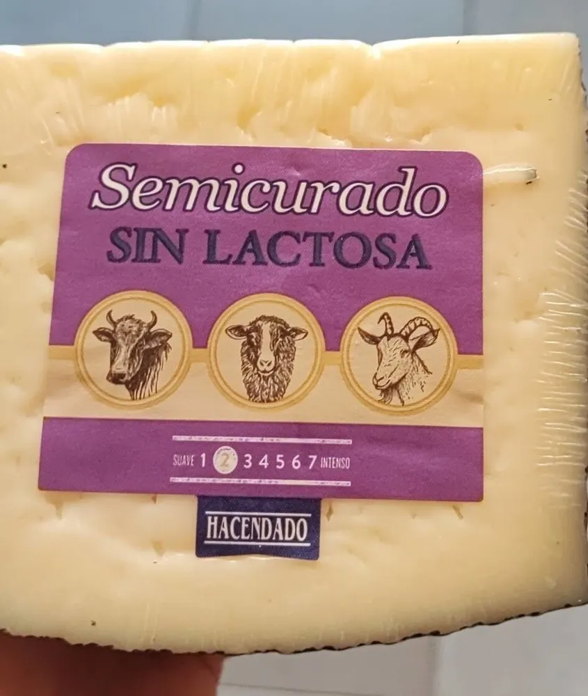 Queso semicurado sin lactosa