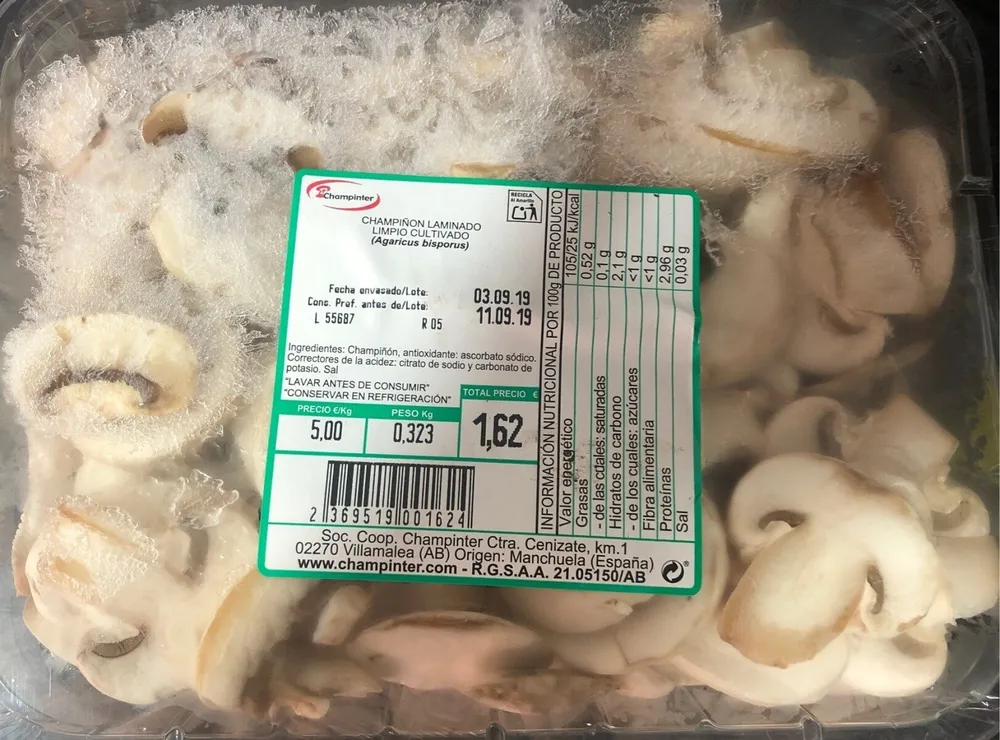 Champiñon laminado limpio cultivado