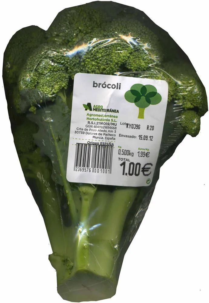 Brócoli
