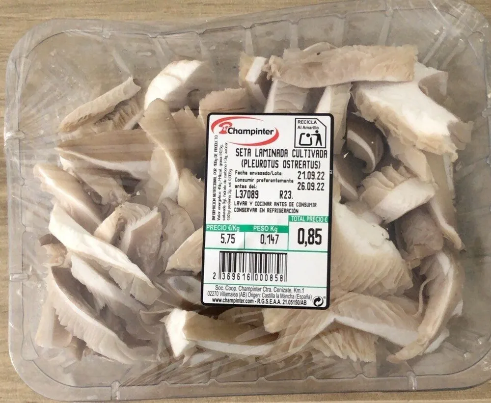 Seta pleurotus ostreatus