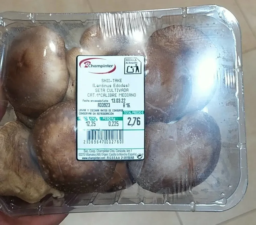 Shitake