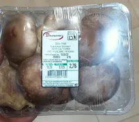 Shitake