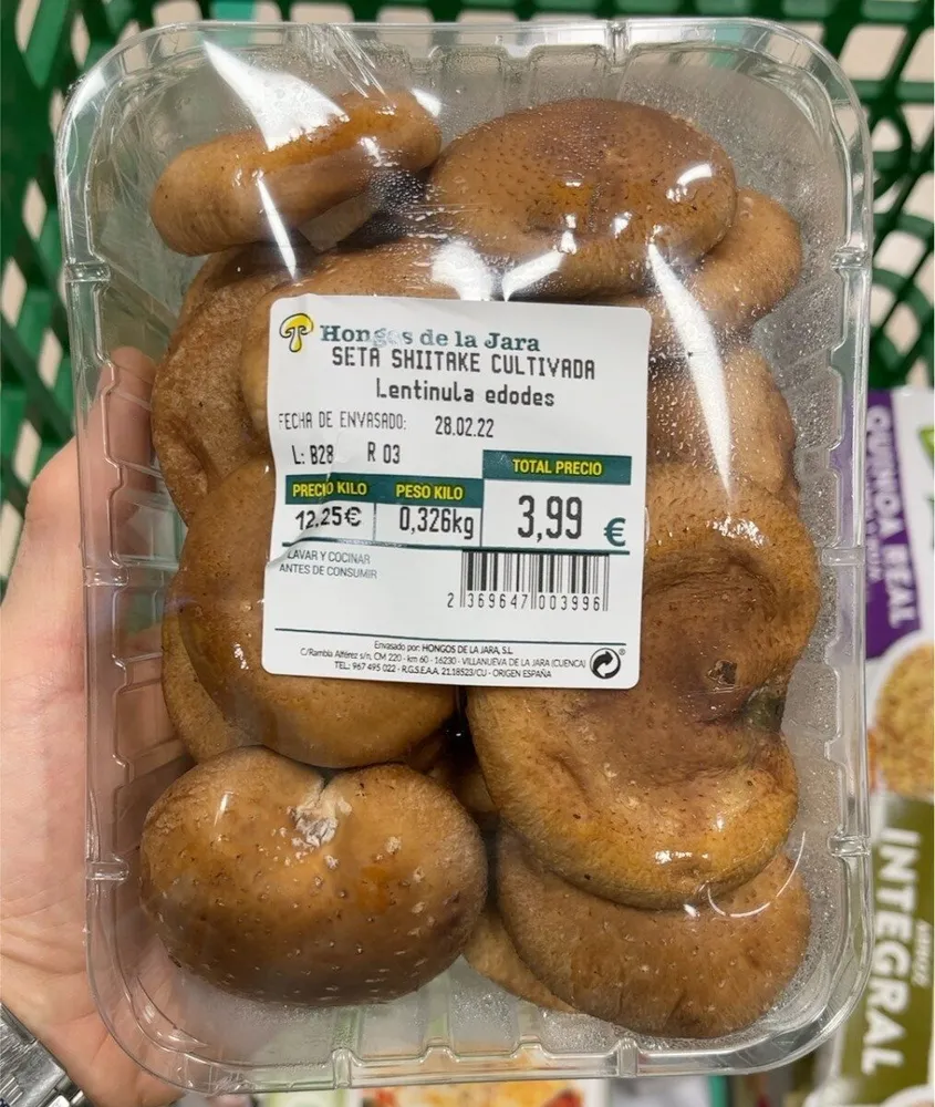 Seta Shiitake Cultivada