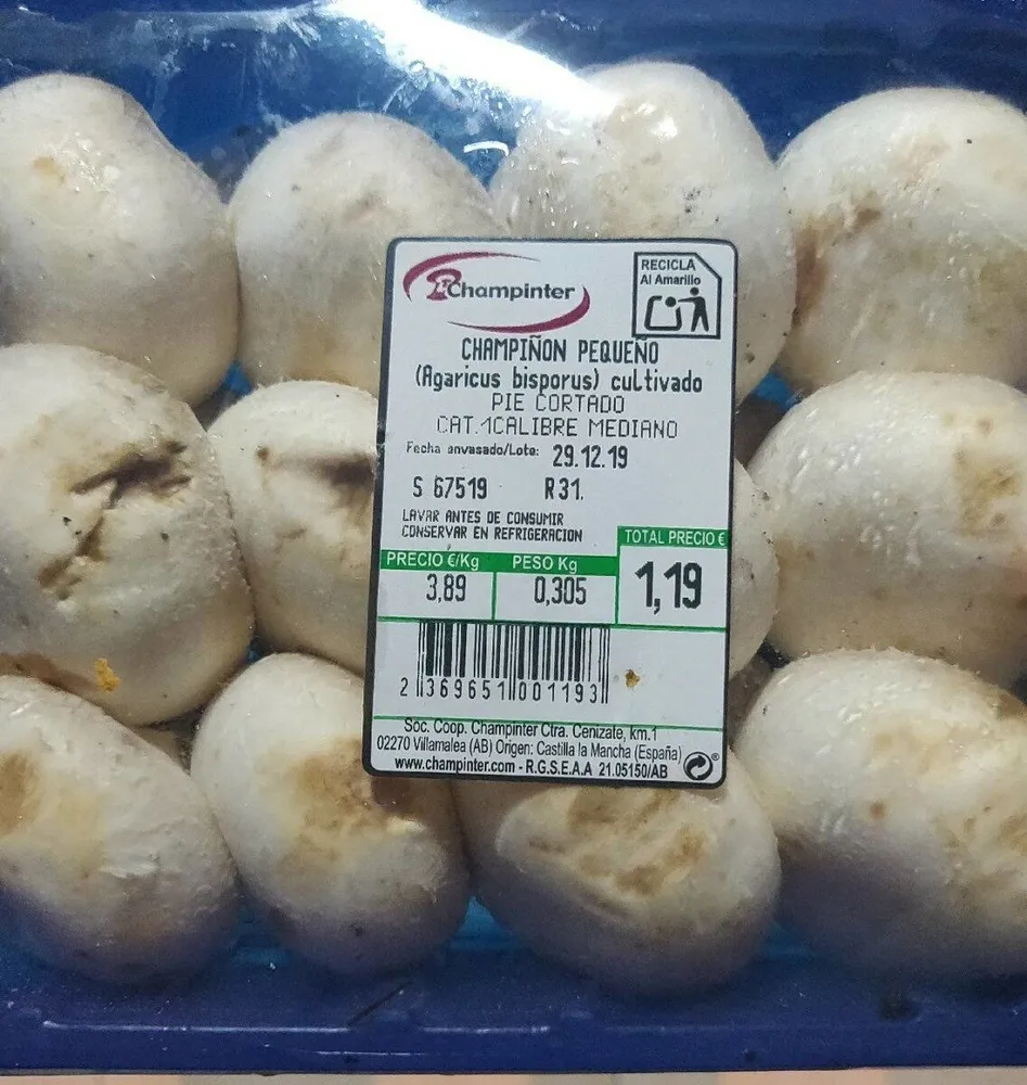 Champiñon pequeño