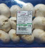 Champiñon pequeño