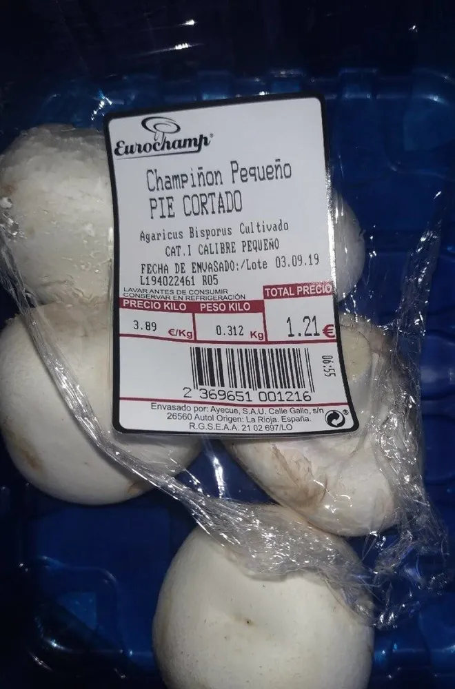 Champiñon pequeño