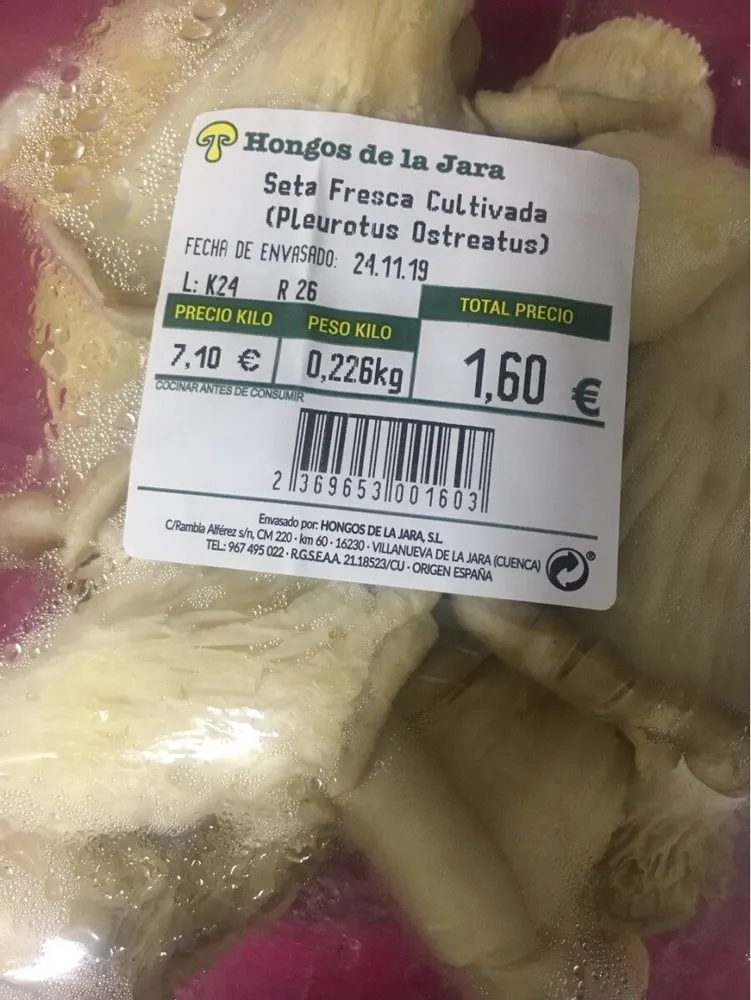 Seta fresca cultivada