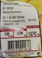 Champion portobello cultivado