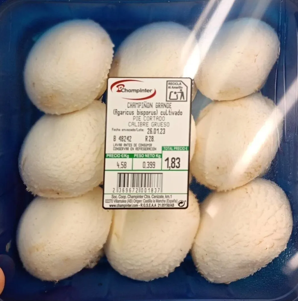 Champiñón Grande (Agaricus Bosporus) cultivado