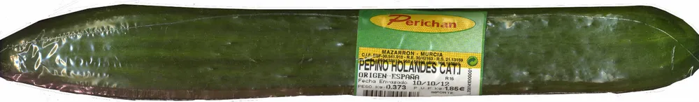 Pepino de tipo holandés