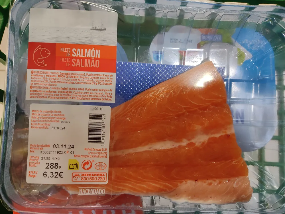 Salmón