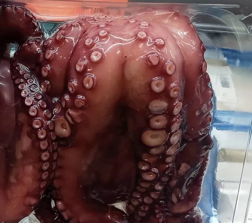 Pulpo cocido