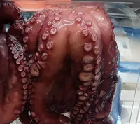 Pulpo cocido