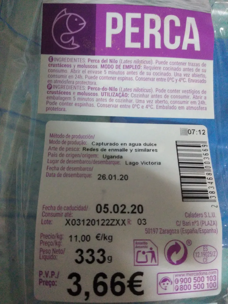 Perca