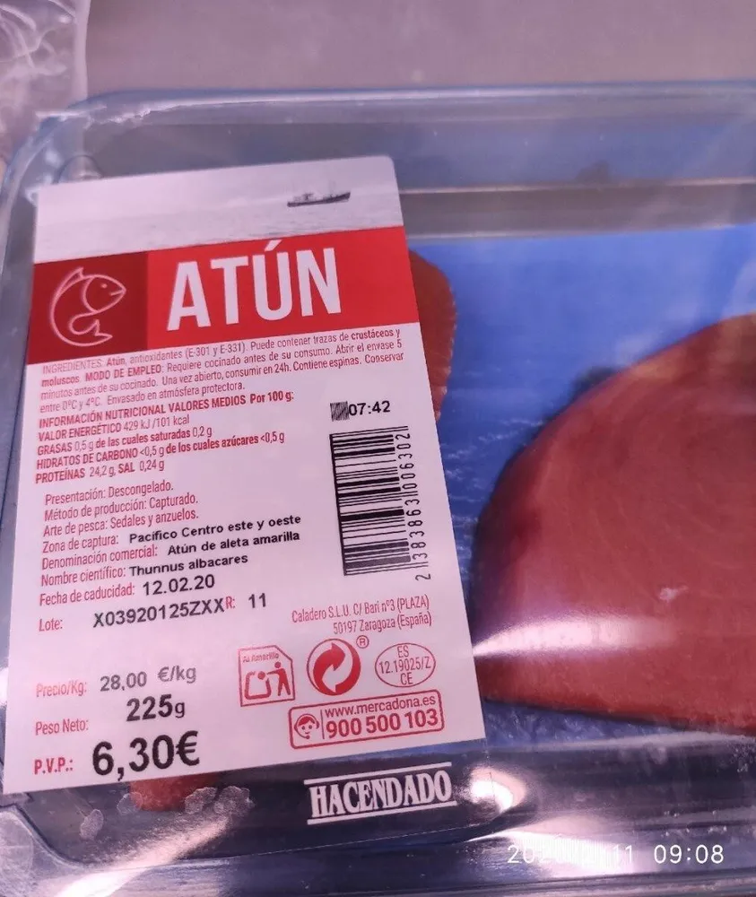 Atún fresco