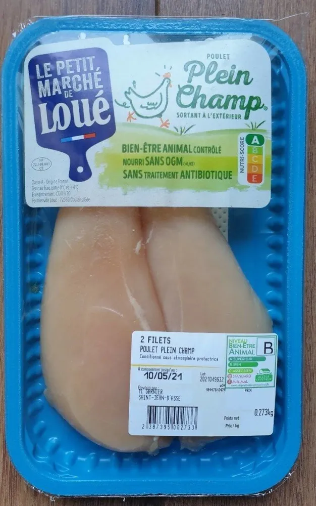 Poulet plein champ sortant à l'extérieur