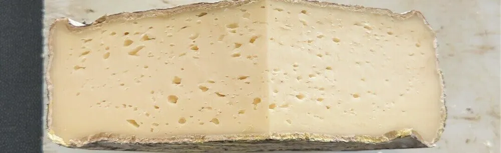 Tomme de Savoie
