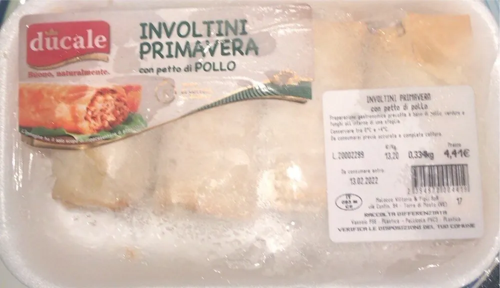 Involtini primavera