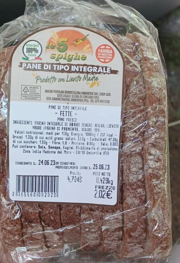 Pane di tipo integrale