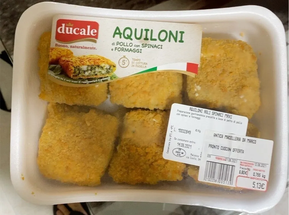Aquiloni