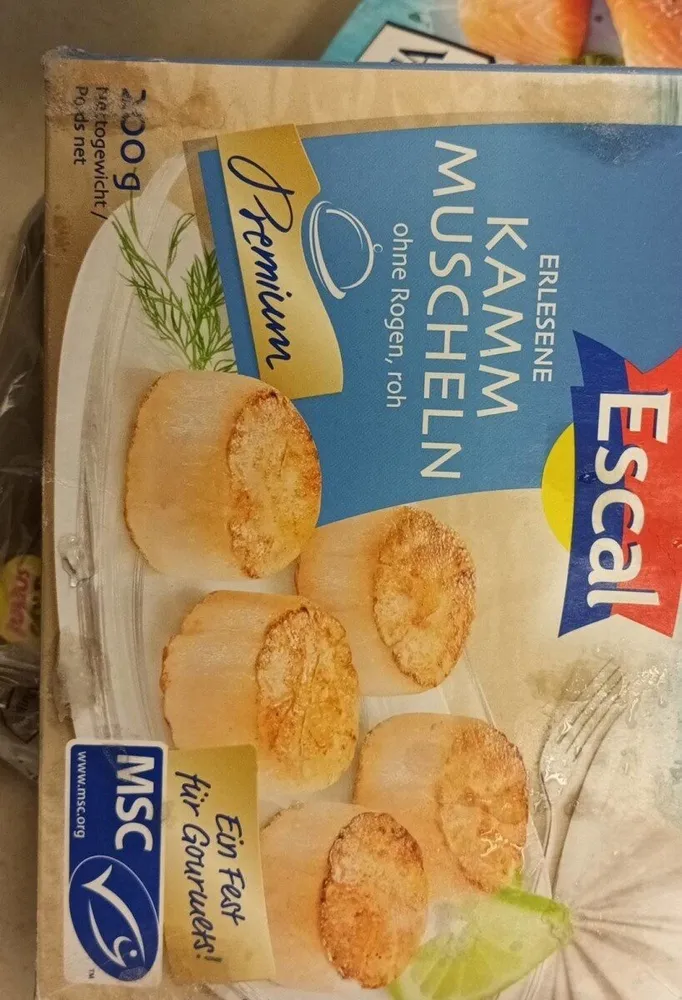 Kamm Muscheln