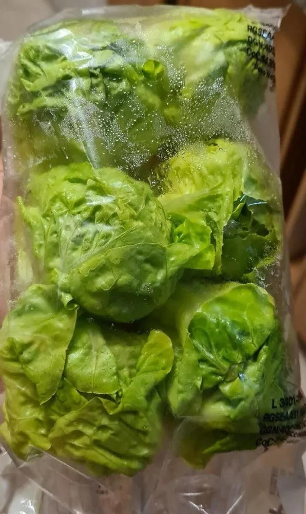 Corazones de cogollo de lechuga
