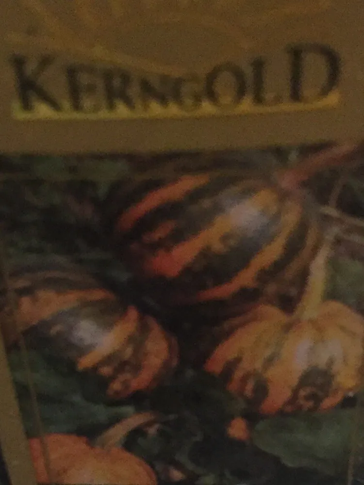 Kürbiskernöl Kerngold (Hofer)