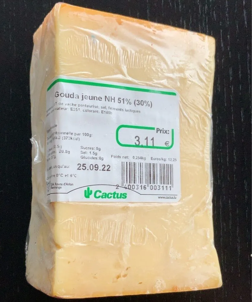 Gouda jeune NH 51%