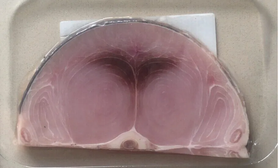 Trancio di pesce spada decongelato
