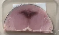 Trancio di pesce spada decongelato