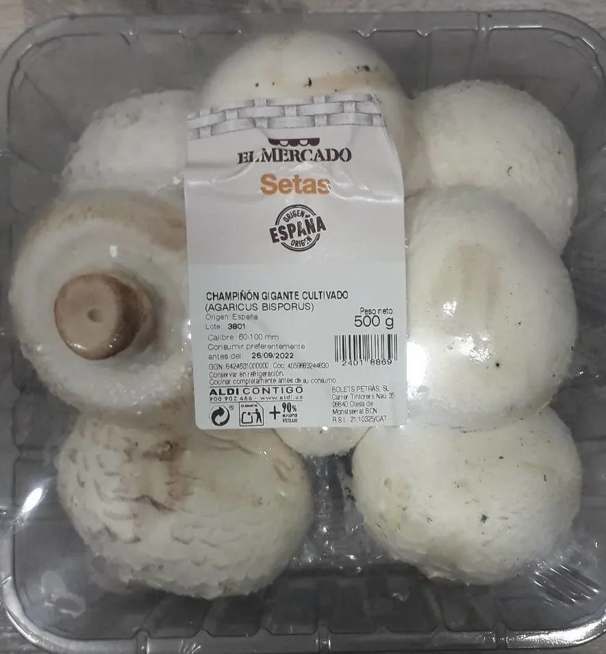 Champiñón Gigante Cultivado