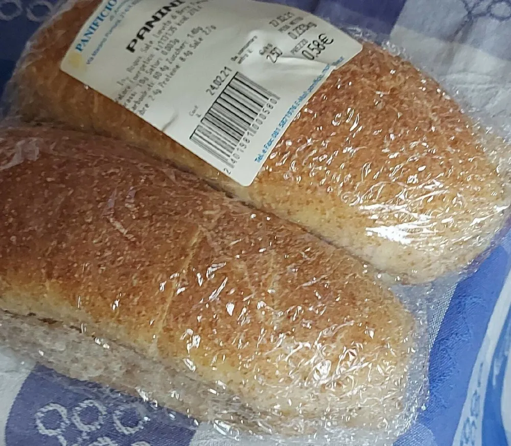 Panini