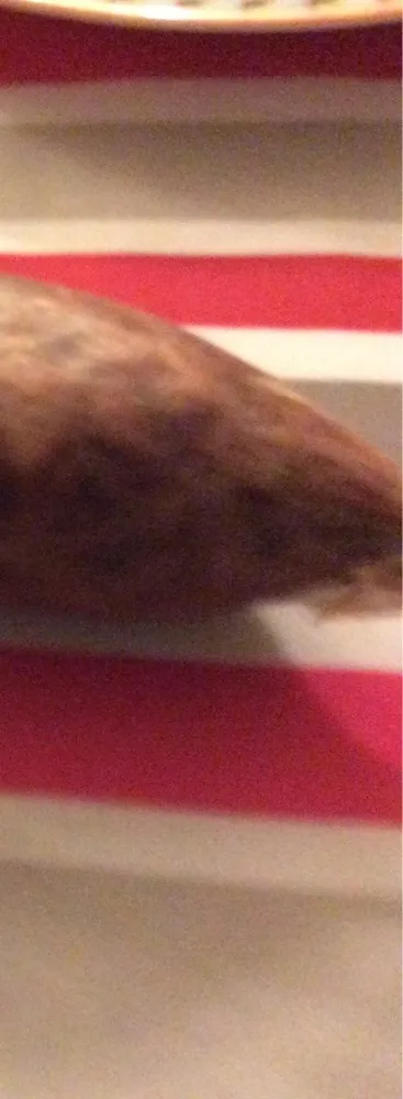 Saucisson court non fumé