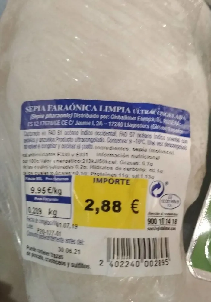 Sepia faraónica limpia