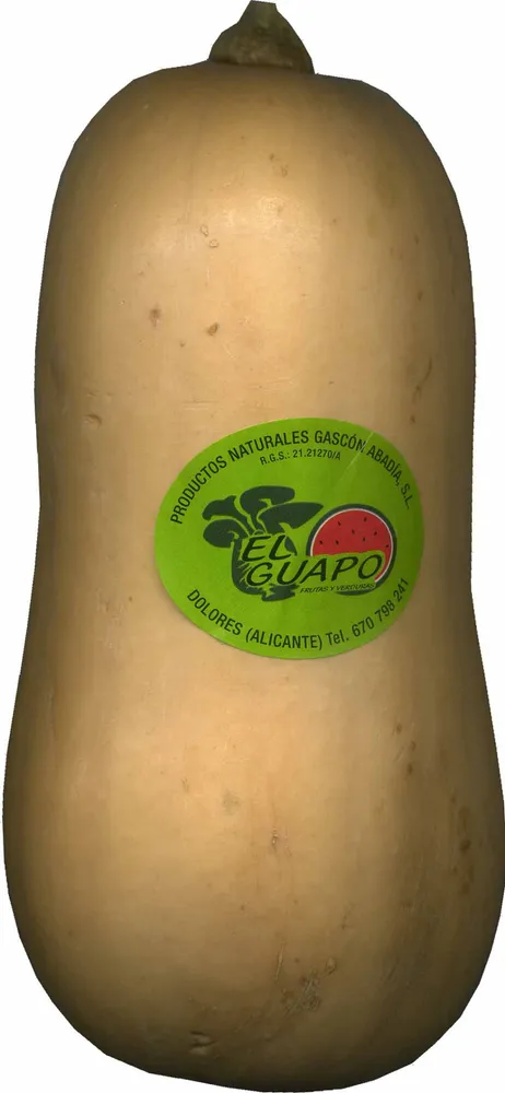 Calabaza