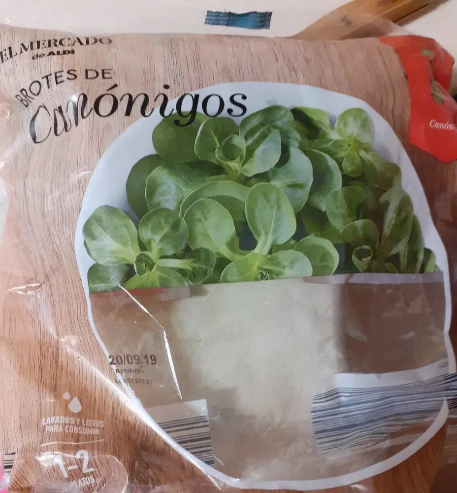 Brotes de canonigos