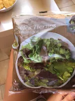 Brotes tiernos y canónigos